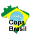 Copa do Brasil 2024